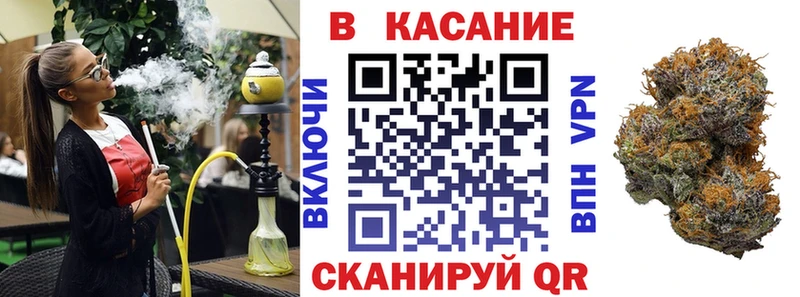 APVP Плёс