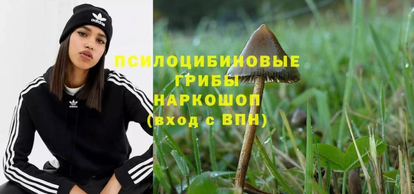 каннабис Богородицк